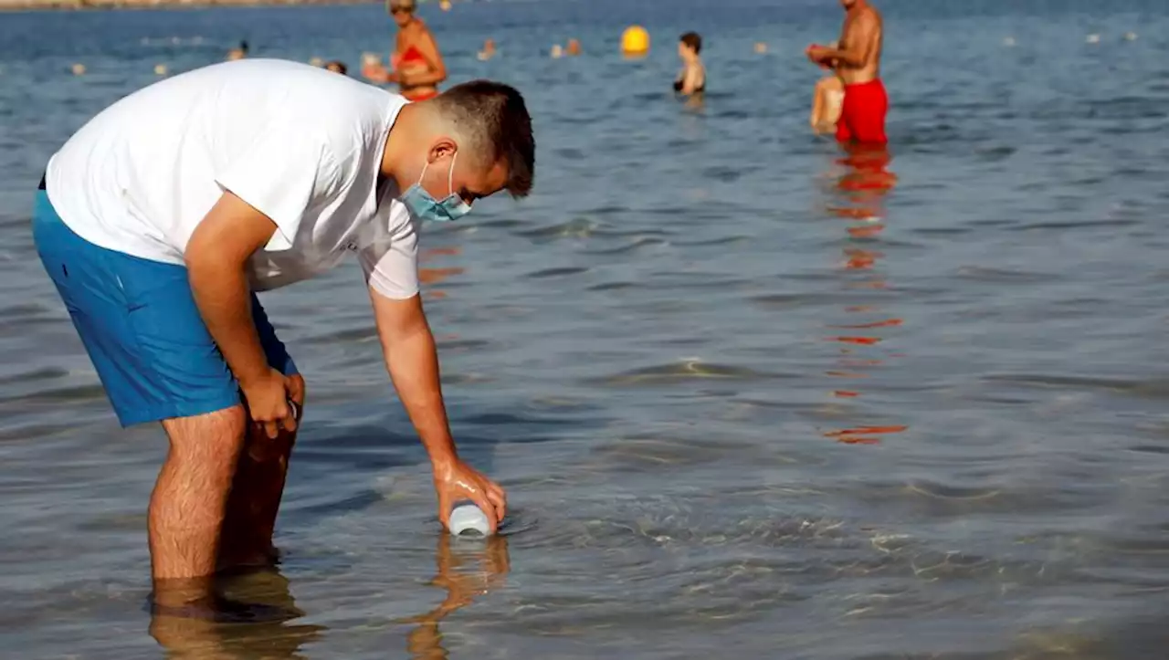 Propreté des plages : y a-t-il des lieux à éviter en Occitanie, Nouvelle-Aquitaine et en Provence-Alpes-Côte d'Azur cet été ?