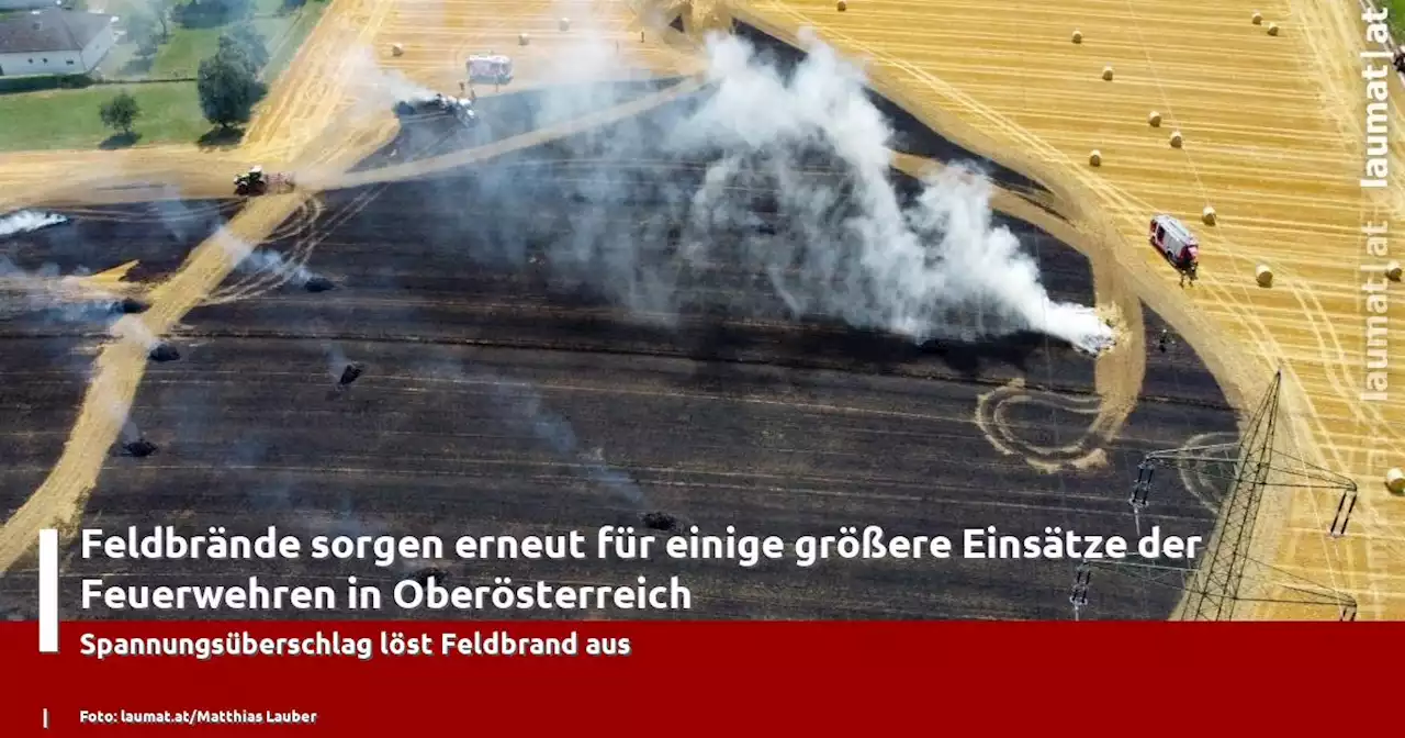 Feldbrände sorgen erneut für einige größere Einsätze der Feuerwehren in Oberösterreich | laumat|at