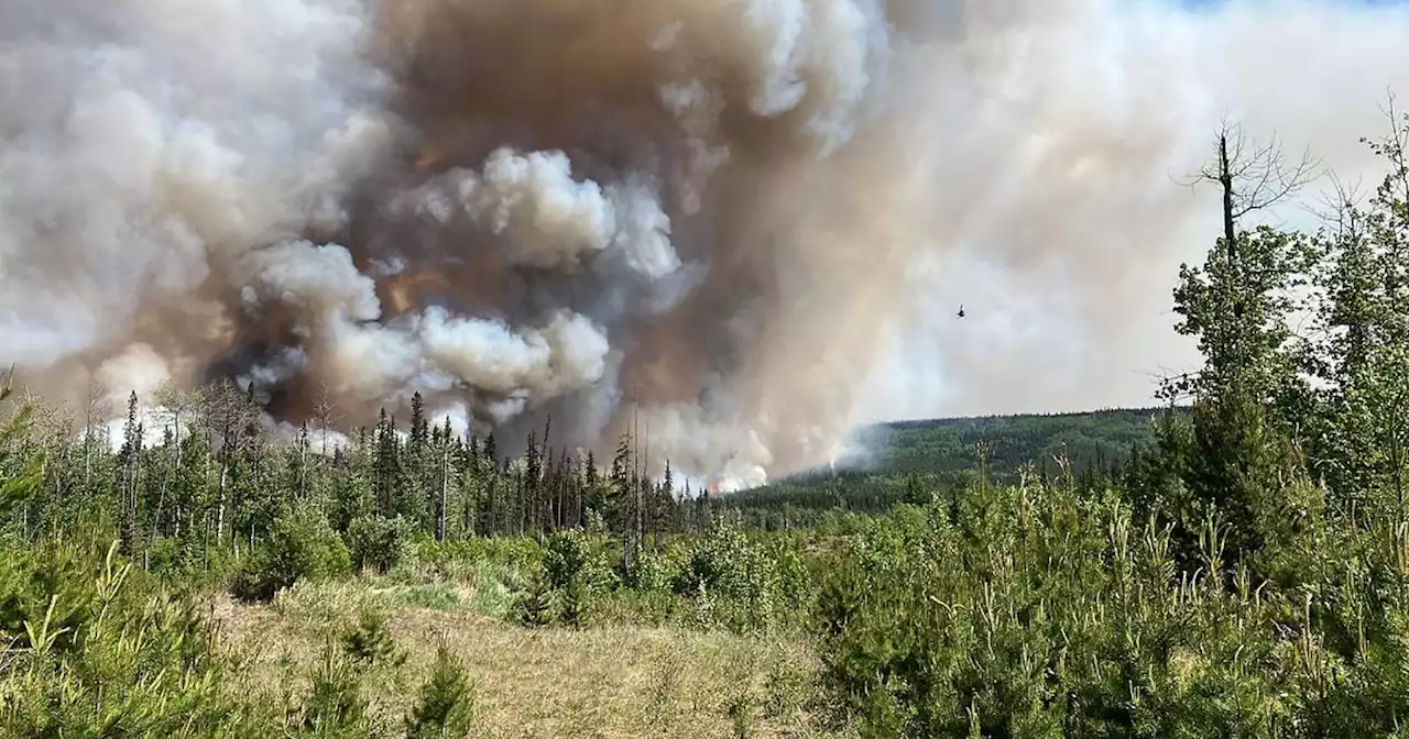 Au Canada, un 'été long et difficile' : près de 380 incendies toujours hors de contrôle