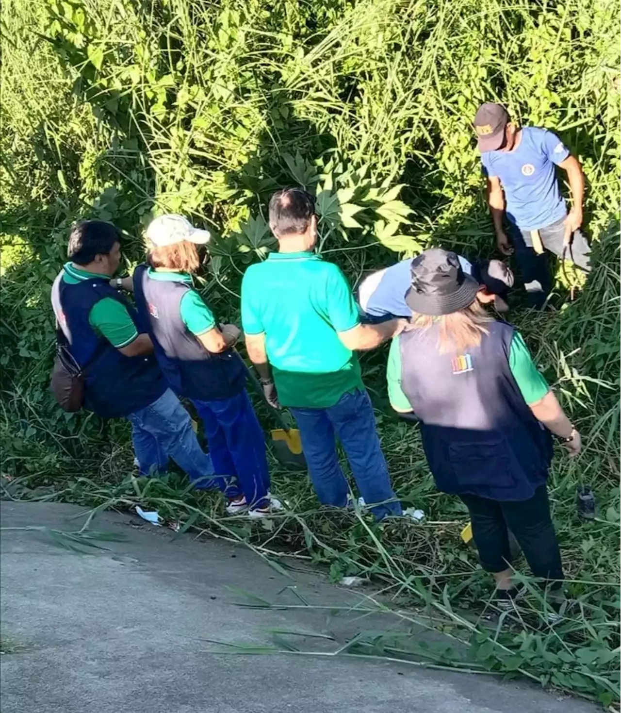 300 bamboo seedlings planted in Bulacan tree-planting activity