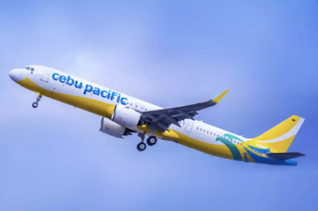 Binay lauds Cebu Pacific decision to remove travel fund expiration