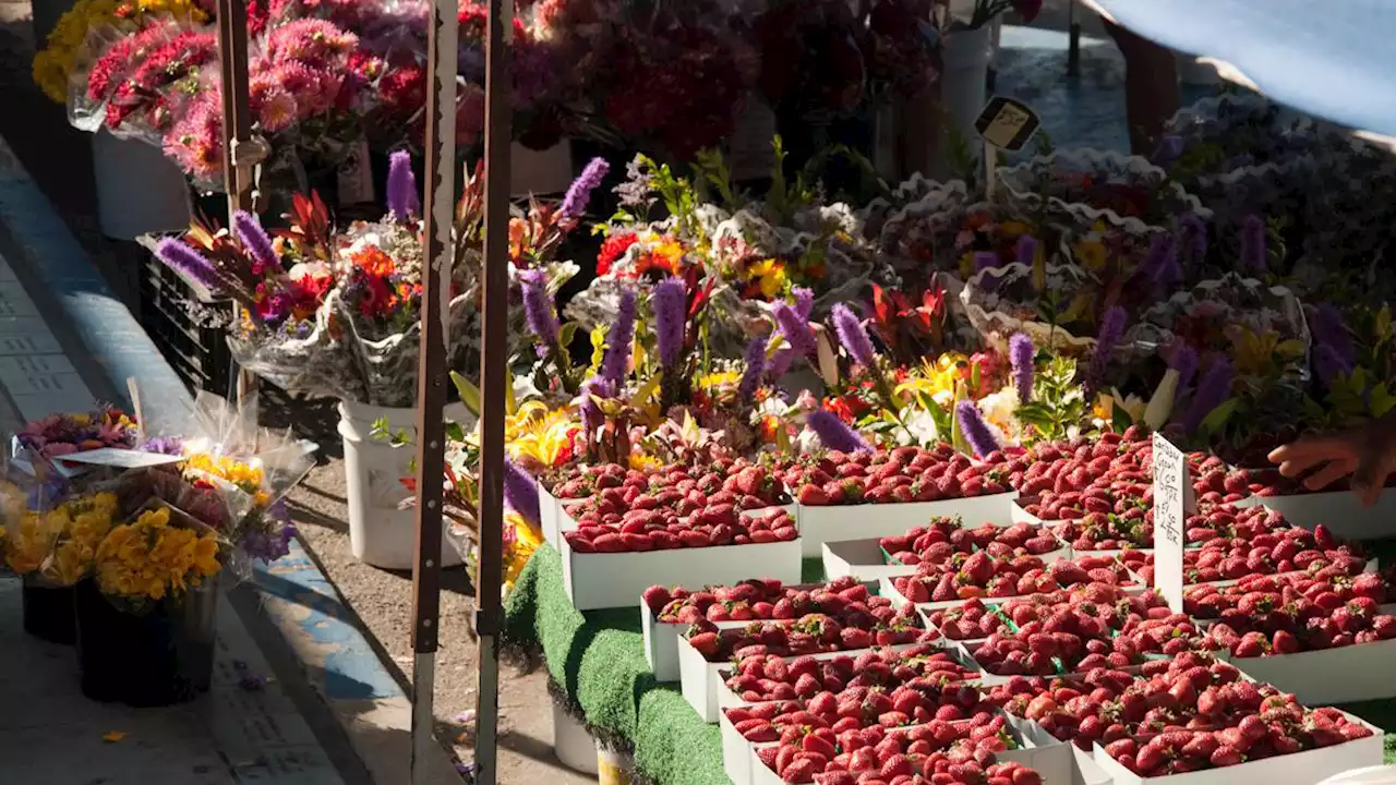 Guide: List of farmers markets around San Diego County