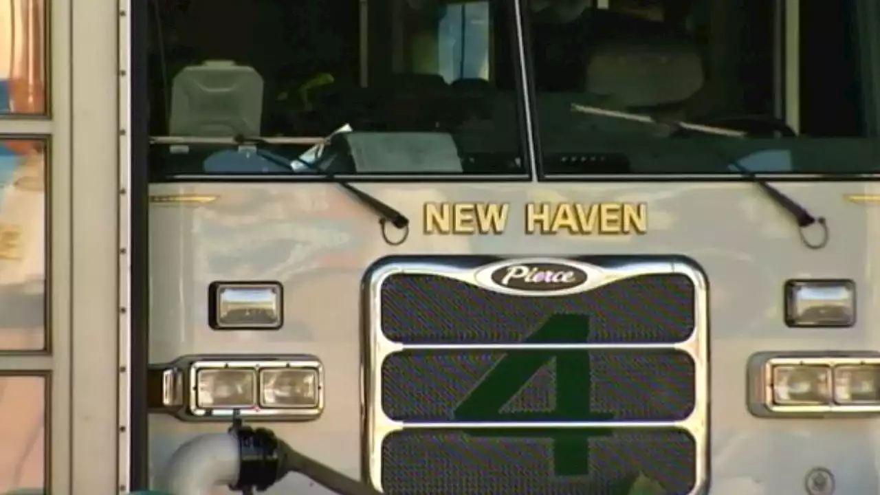 Man impaled by tree branch in New Haven