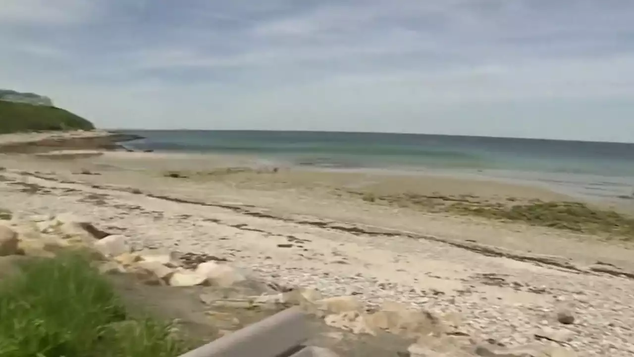 Revere Beach says it's cleared for swimming after 50 Mass. beaches deemed unsafe