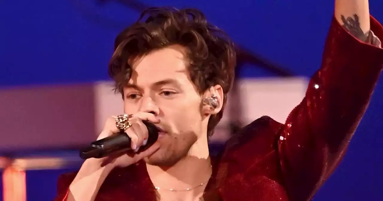 Harry Styles Hit in the Eye During Vienna Concert