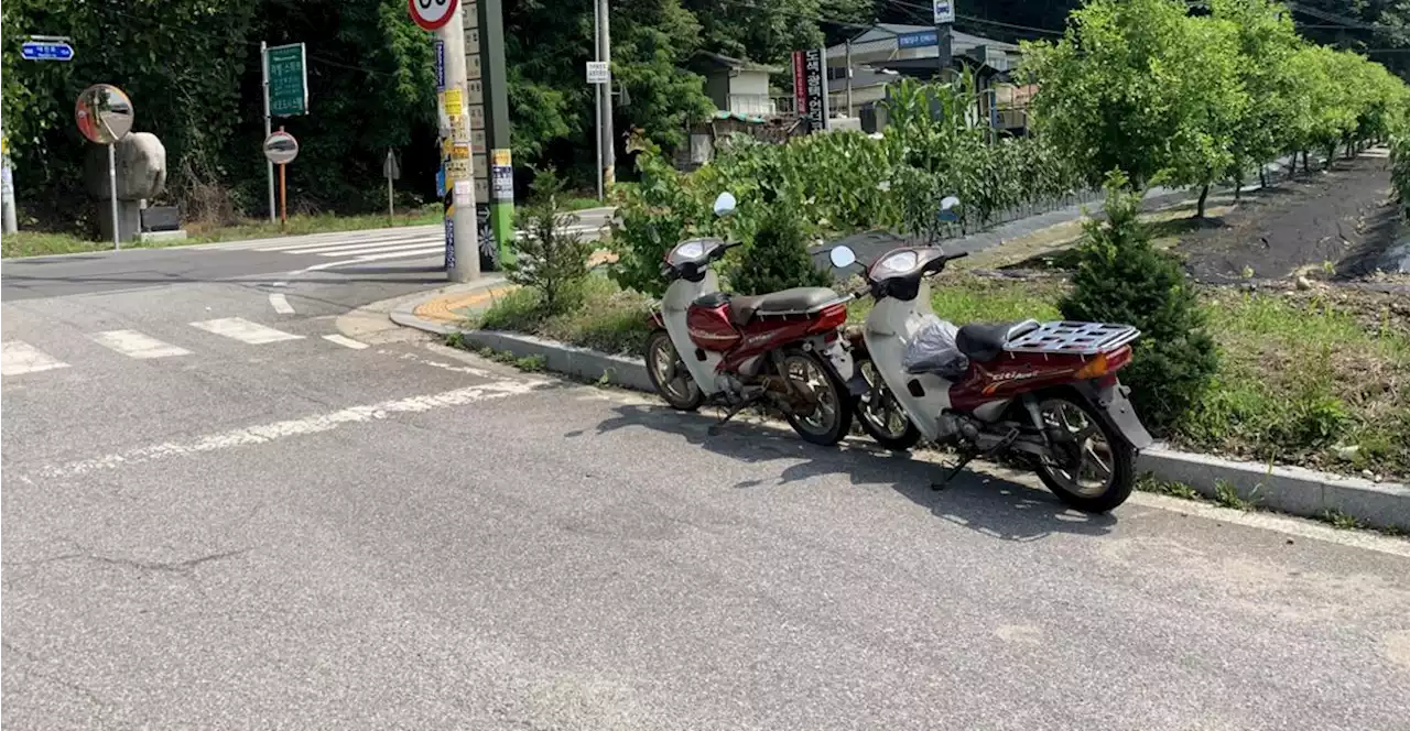 충격 영상... 이주노동자 집단폭행 10대들, 사건의 전말