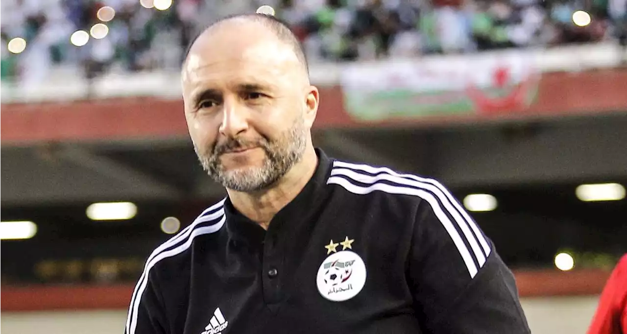 Algérie : un protégé de Belmadi en passe de rejoindre un cador de Ligue 1 ?