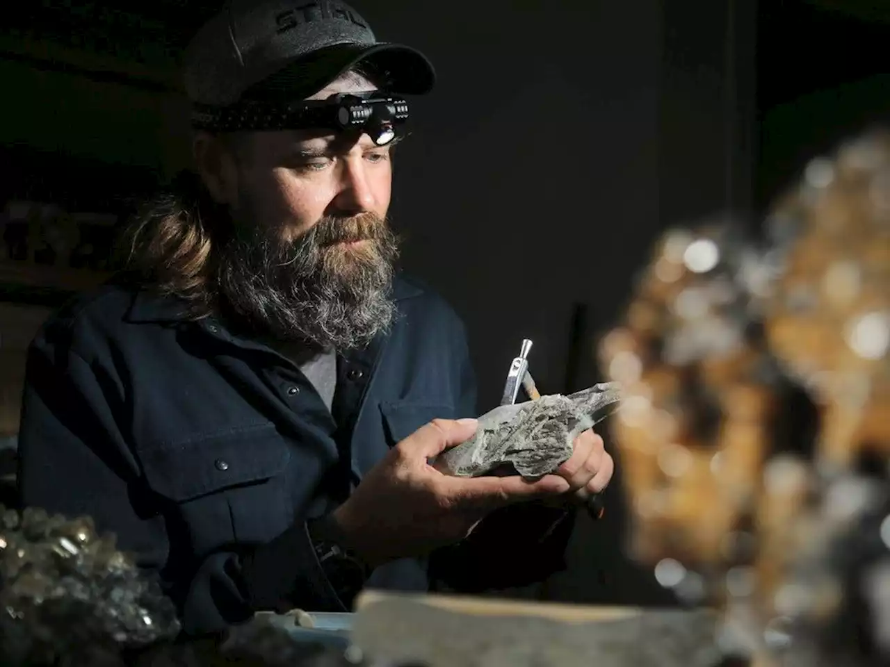 The fossil hunter: Bill Neville’s spirited search for relics from the Champlain Sea