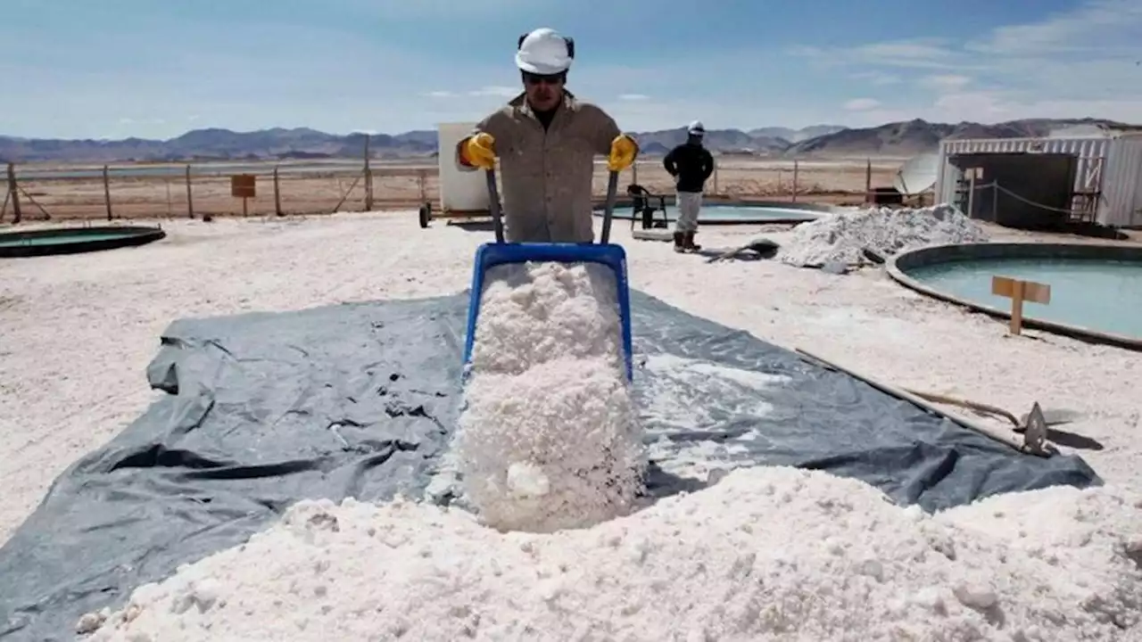 Reforma constitucional de Jujuy: el impacto en los recursos naturales | Temas de debate. Consecuencias de una iniciativa inconsulta