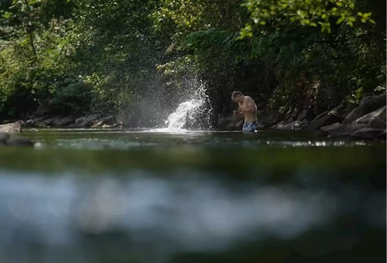 Environment Canada issues heat warnings for B.C., parts of Alberta and the North