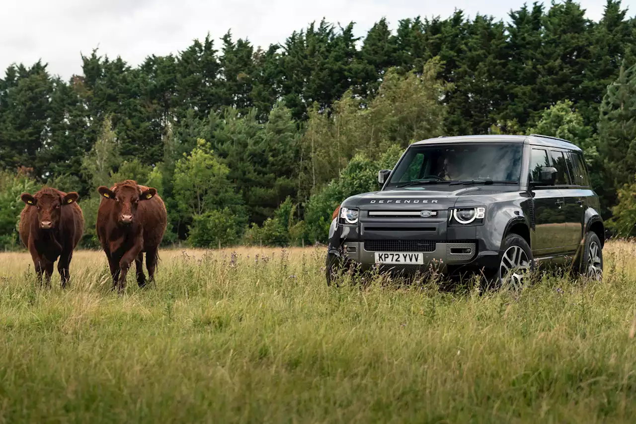 Land Rover Defender 110 D300 | PH Fleet