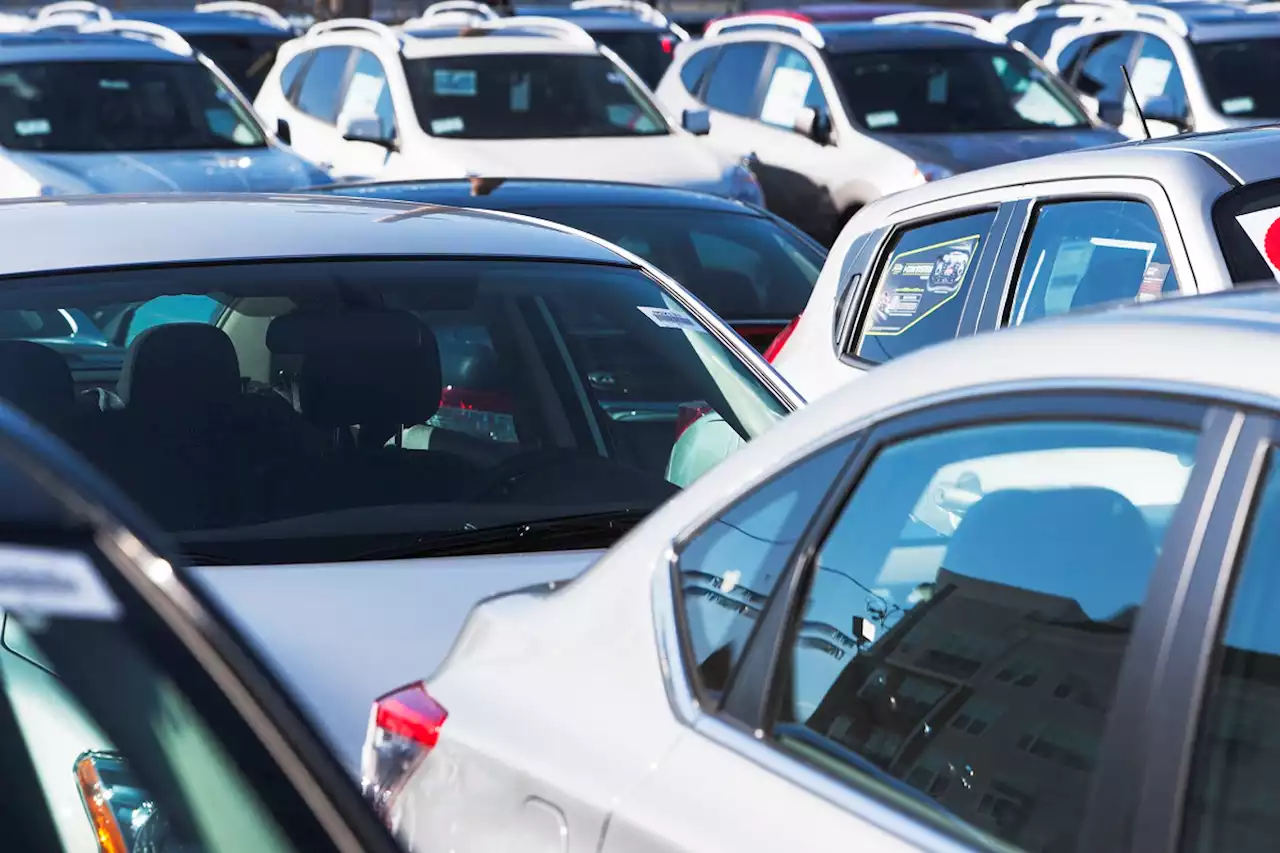 Buena noticia para dueños de carros especiales, que tendrán más sitios para 'tanquear' - Pulzo