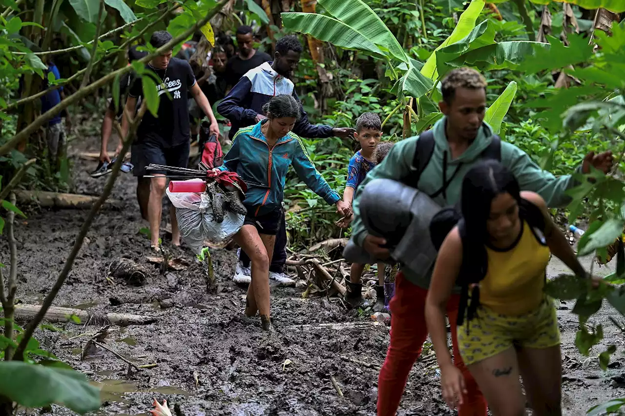 Más de 40.000 niños han cruzado este año la selva del Darién, algunos abandonados - Pulzo