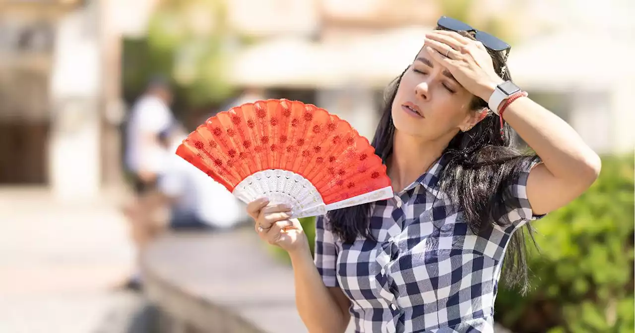 Bollino arancione in 9 città, allerta in Sicilia per l'ondata di calore