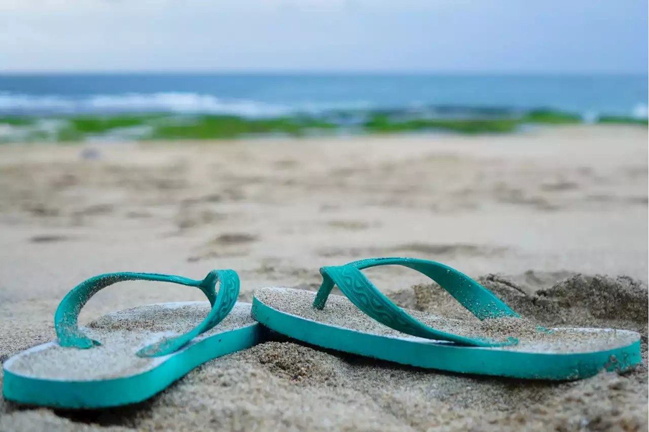 Vacances d'été : tongs ou méduses, l'autre grand duel sur les plages