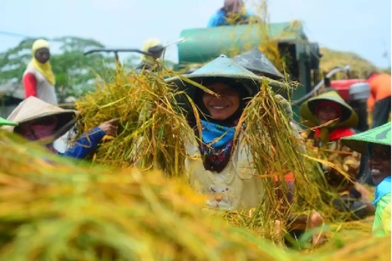 Upaya Edukasi Petani untuk Meningkatkan Produktivitas Pertanian