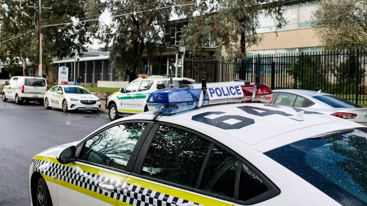 Man dies after falling 'several metres' off shipping container