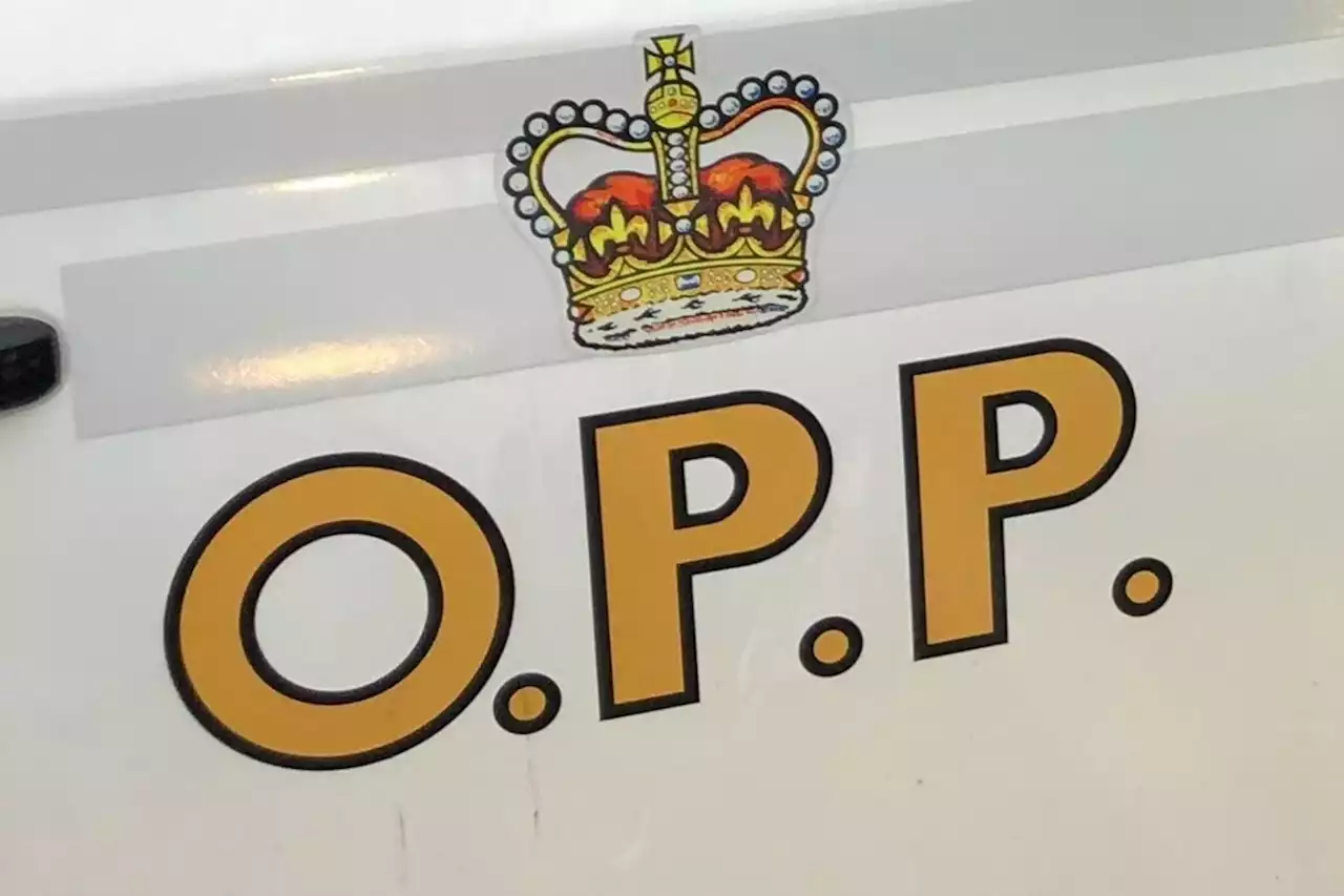 Man arrested for exposing himself at Elliot Lake beach: OPP