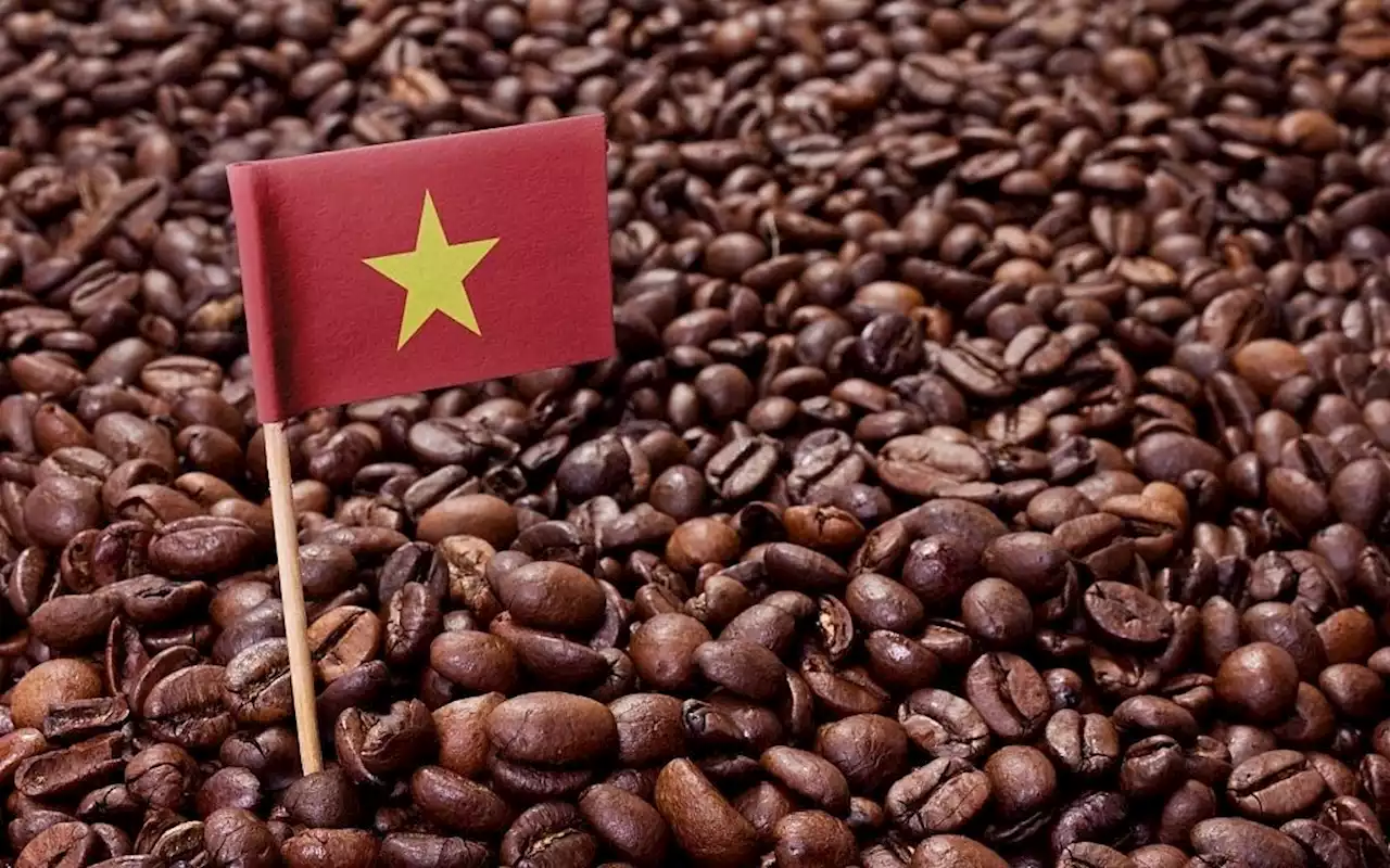 Big numbers as Vietnam earns over US$2bil from coffee exports in first half of 2023