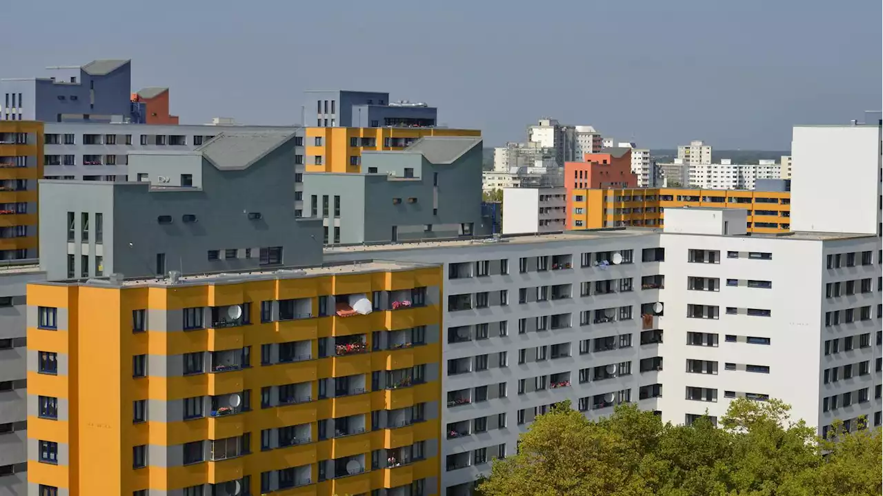 Streit endet mit Notoperation: Mann an Bushaltestelle in Berlin-Reinickendorf lebensgefährlich verletzt