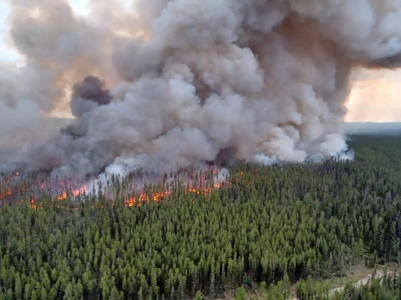 Evacuation orders issued for two regions in B.C’s Prince George Fire Centre