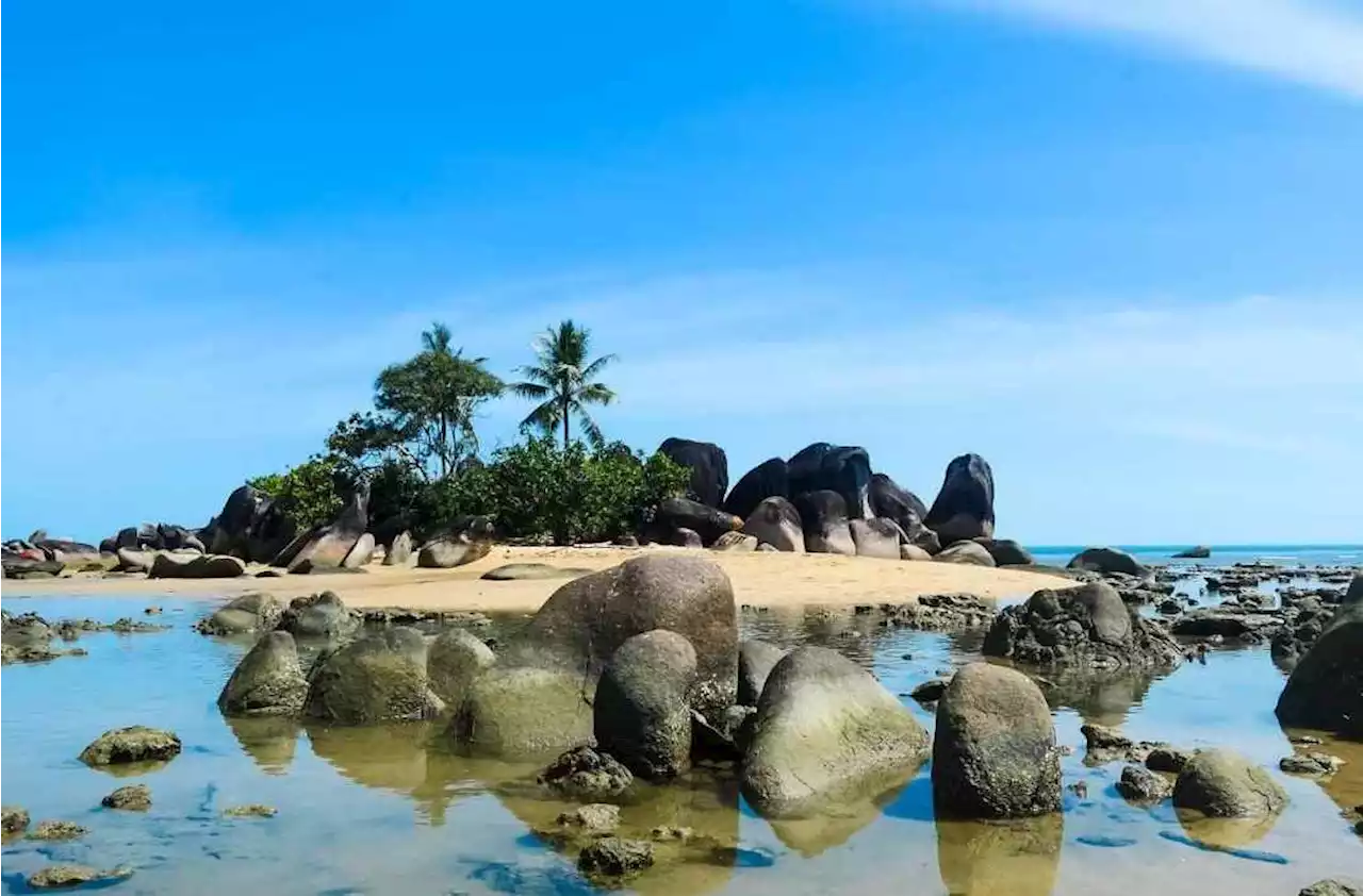 Potensi Pantai Temajuk berkembang kepada ekonomi pertanian, perikanan