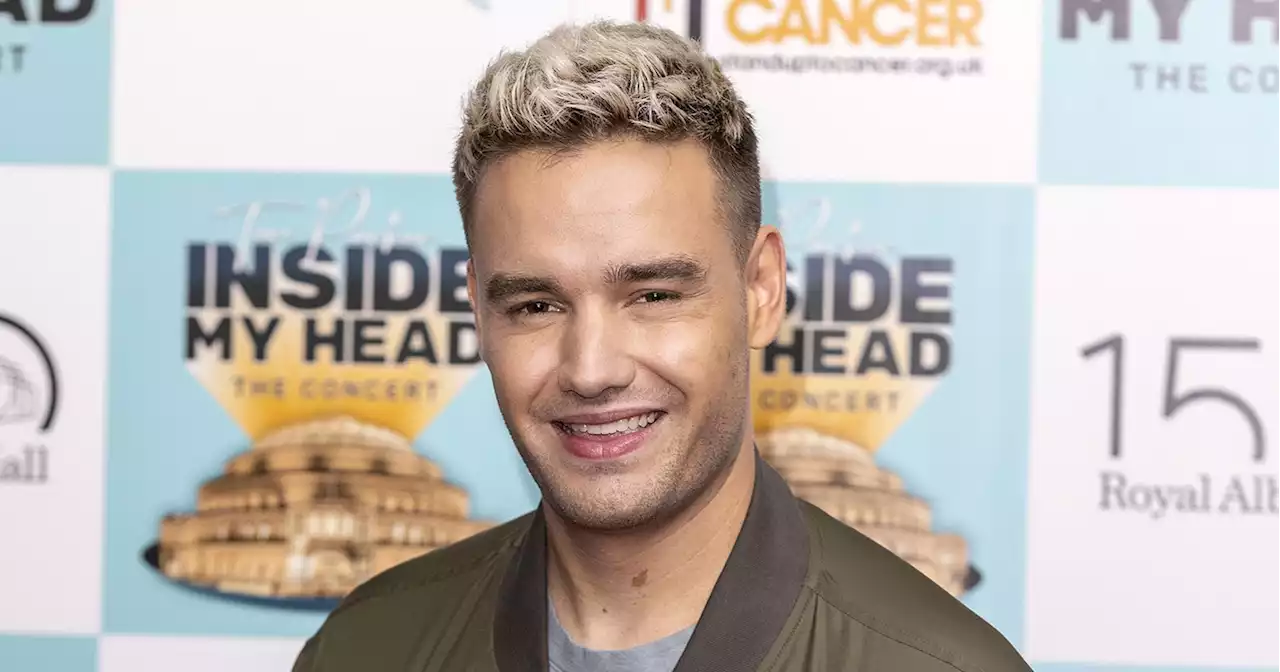 Liam Payne Says 6-Year-Old Son Bear Corrects His Text Messages