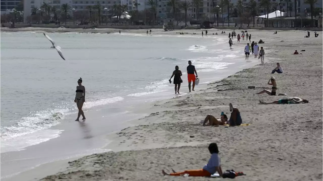 Urlaub auf Mallorca: Sex am Strand endet für Paar unsanft