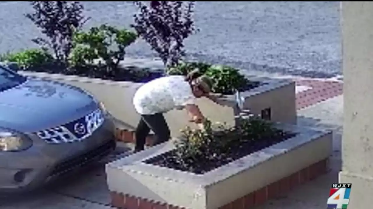 Middleburg ice cream parlor robbed when woman caught on camera stealing...flowers