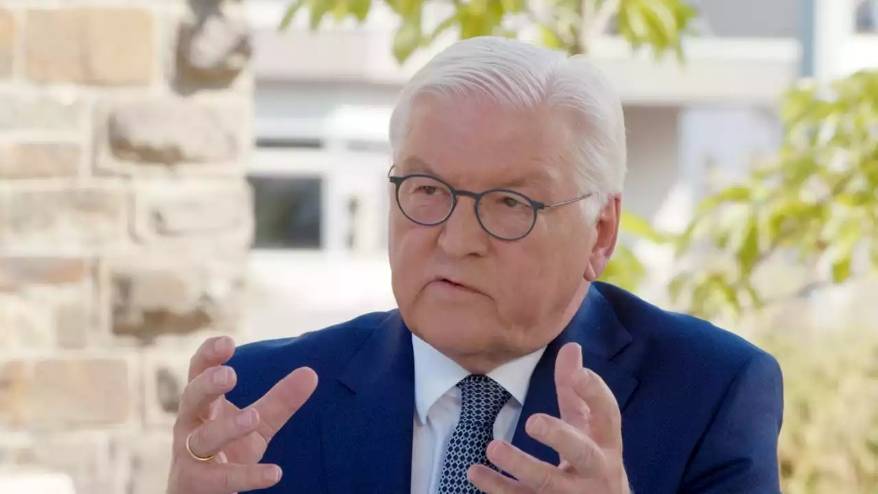 ZDF-Sommerinterview: Steinmeier gegen deutsche Blockade