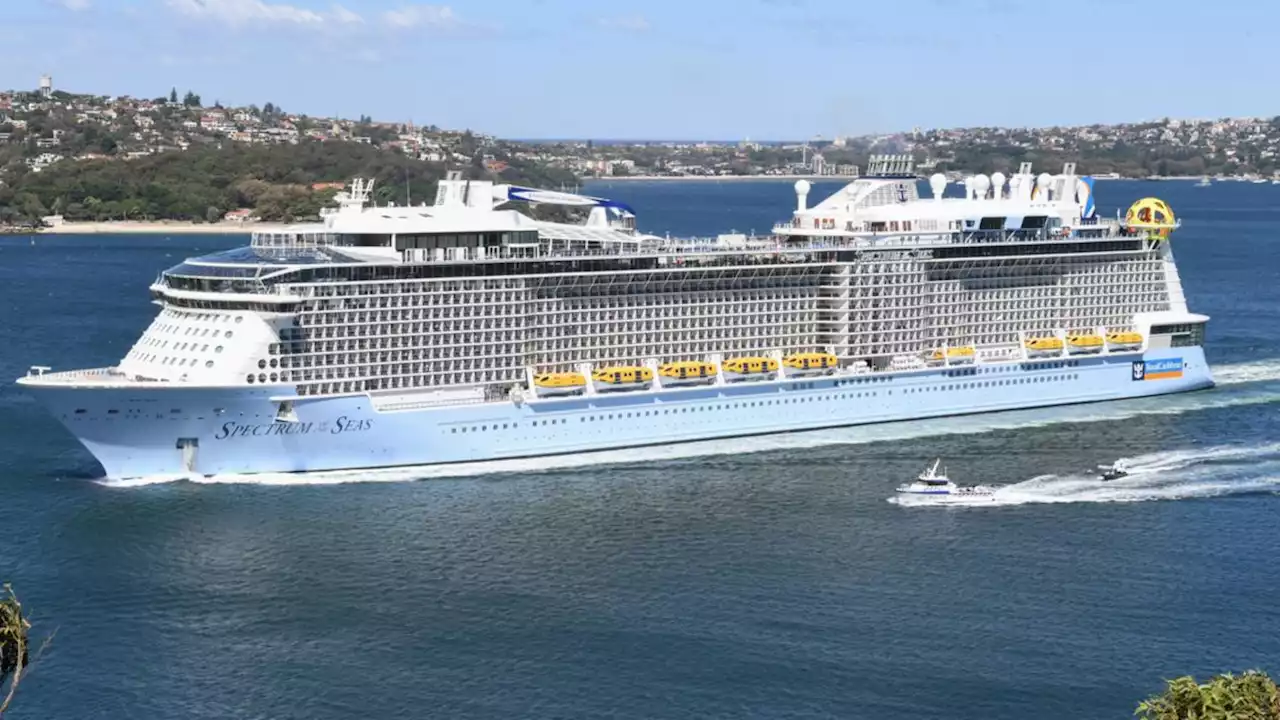 Frantic search as woman falls overboard cruise ship