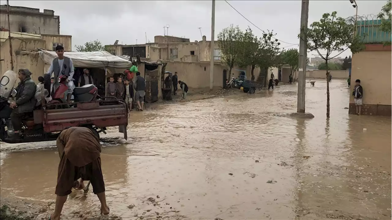 جان باختن 900 نفر در نتیجه بلایای طبیعی و انفجار مهمات در افغانستان طی سال گذشته