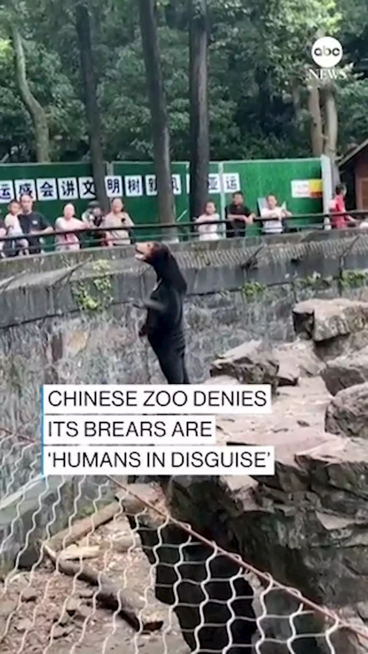 Our bears are real, a Chinese zoo says, denying they are 'humans in disguise'