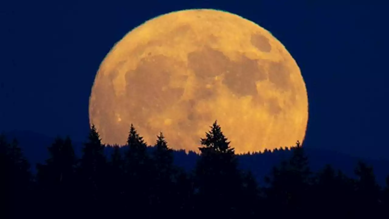 Two rare supermoons will appear this August. Here's when to catch them