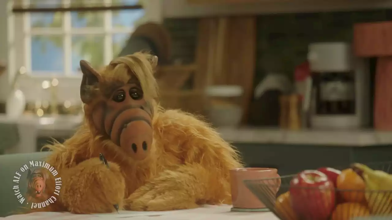 Ryan Reynolds brought 'ALF' back to TV on his new channel