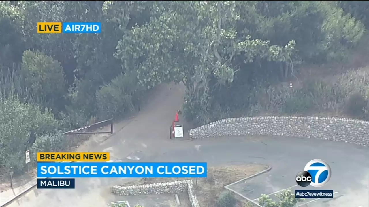 Bee swarm shuts down Solstice Canyon in Malibu