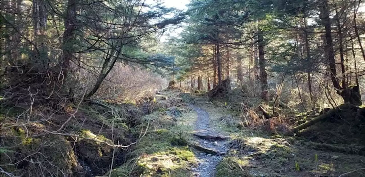 Teen swimmer dies after jump into Juneau's Glory Hole