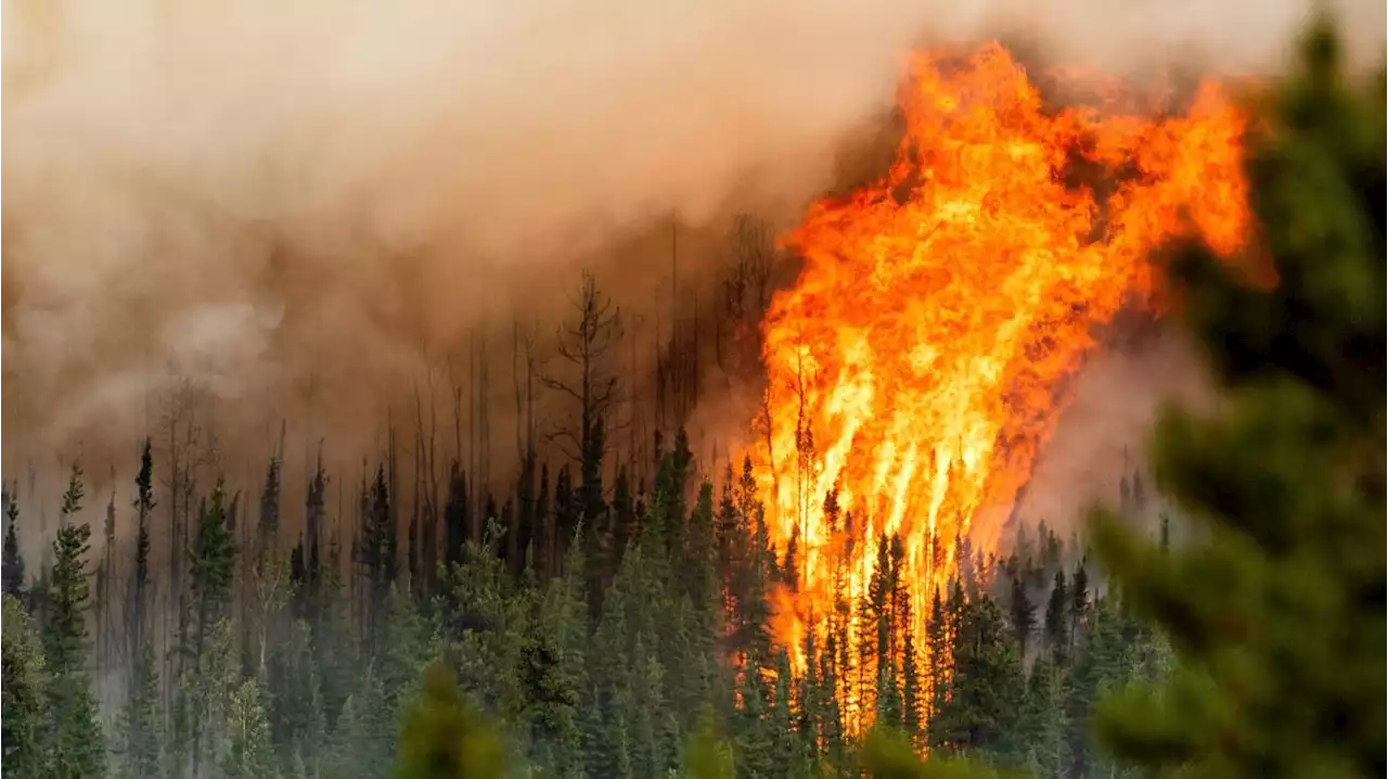 Kanada setzt auf Hilfe aus dem All im Kampf gegen Waldbrände