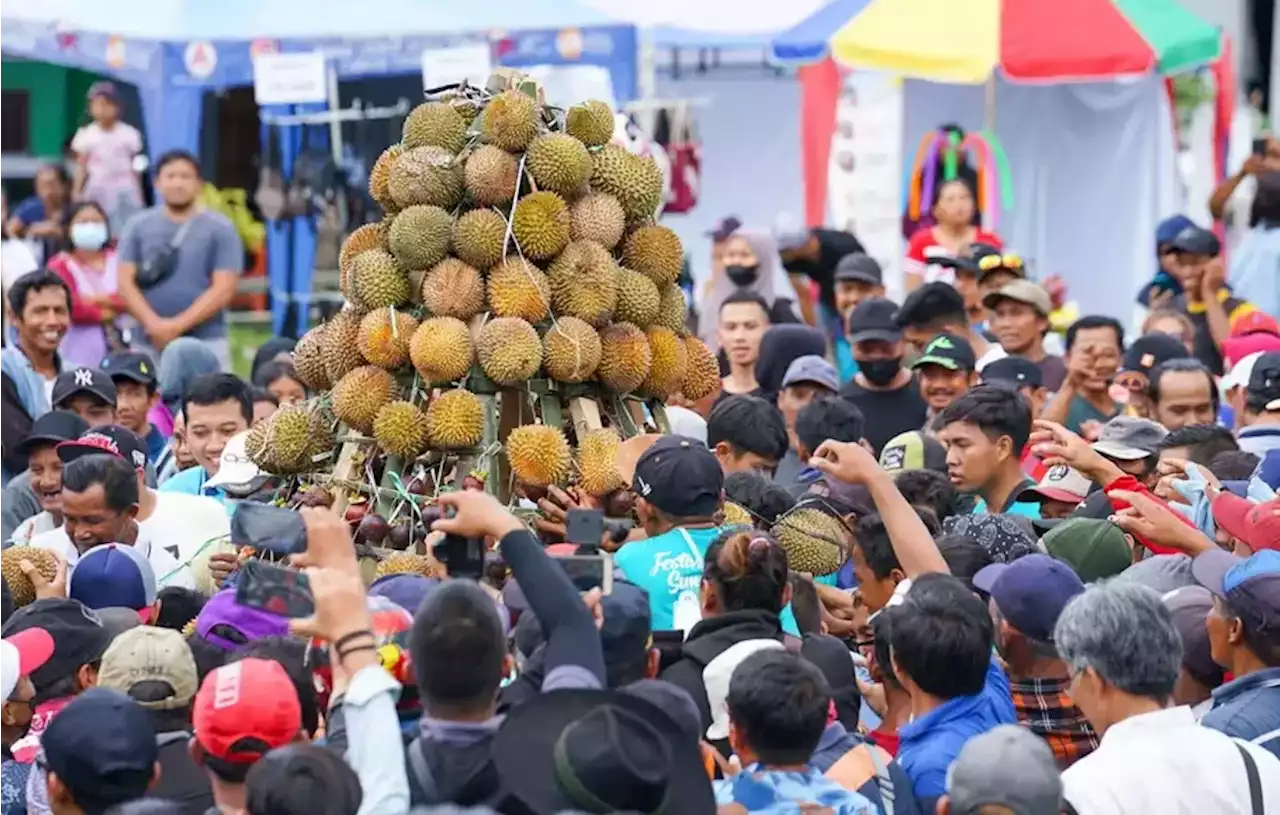 Jokowi Ajak Xi Jinping Investasi Kebun Durian Indonesia