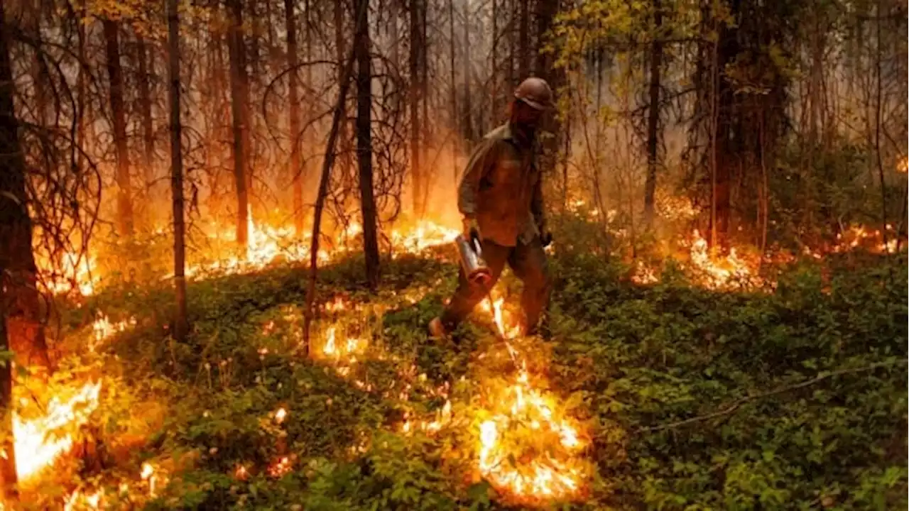 As unprecedented fire year rages on, experts warn of longer, more destructive season | CBC News