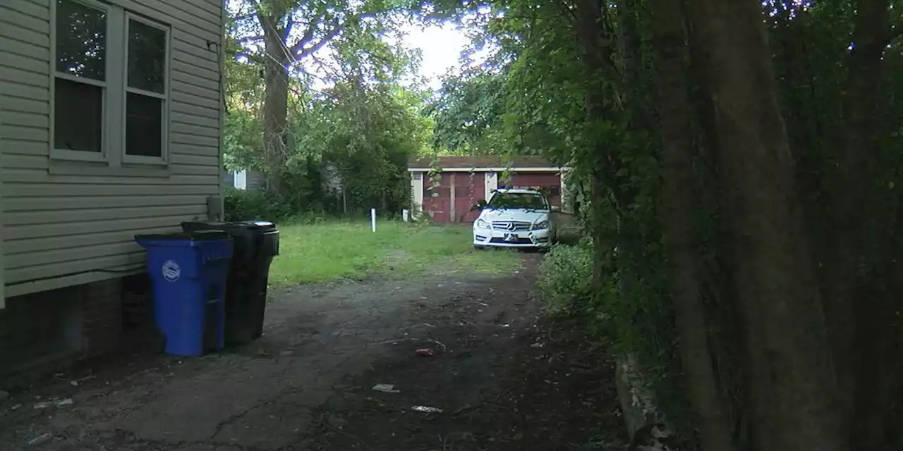 Cleveland homeowner: Overgrown trees from vacant lot destroying property