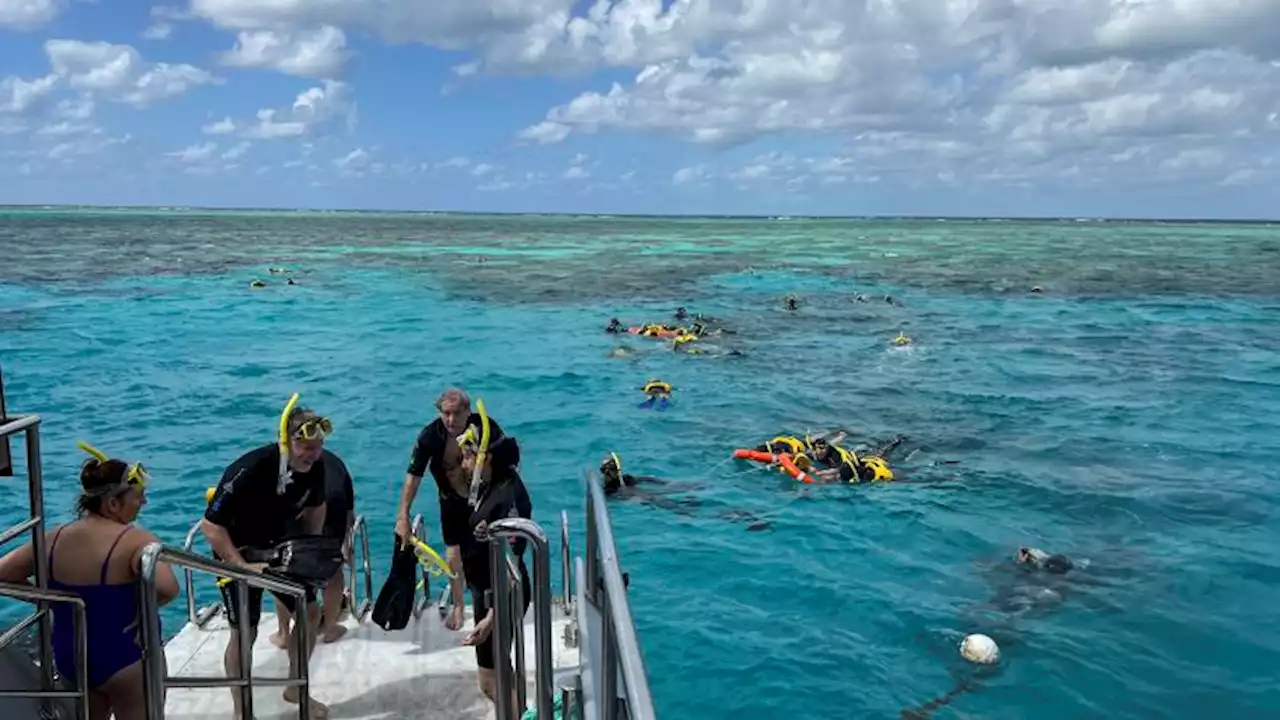 Great Barrier Reef stays off UNESCO 'in danger' list but hot El Niño summer looms | CNN