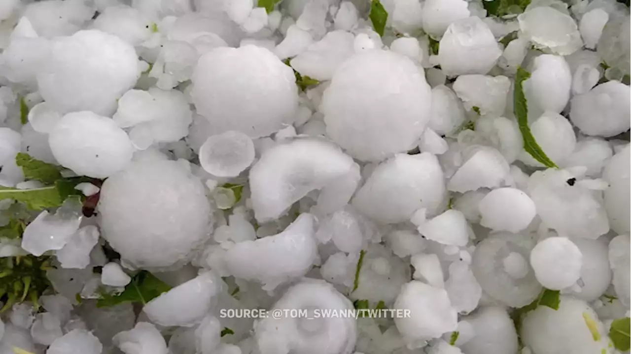 Environment Canada issues severe thunderstorm warning for south central Alberta