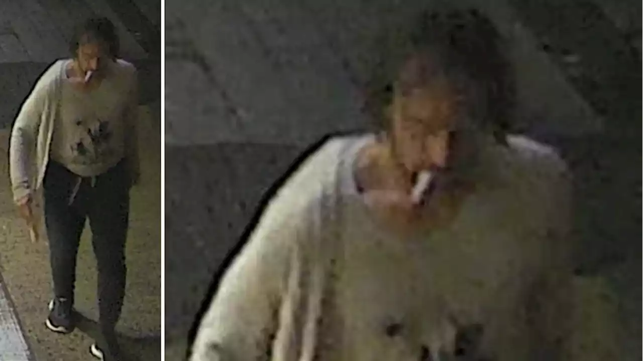 Ottawa police seek help identifying sexual assault suspect