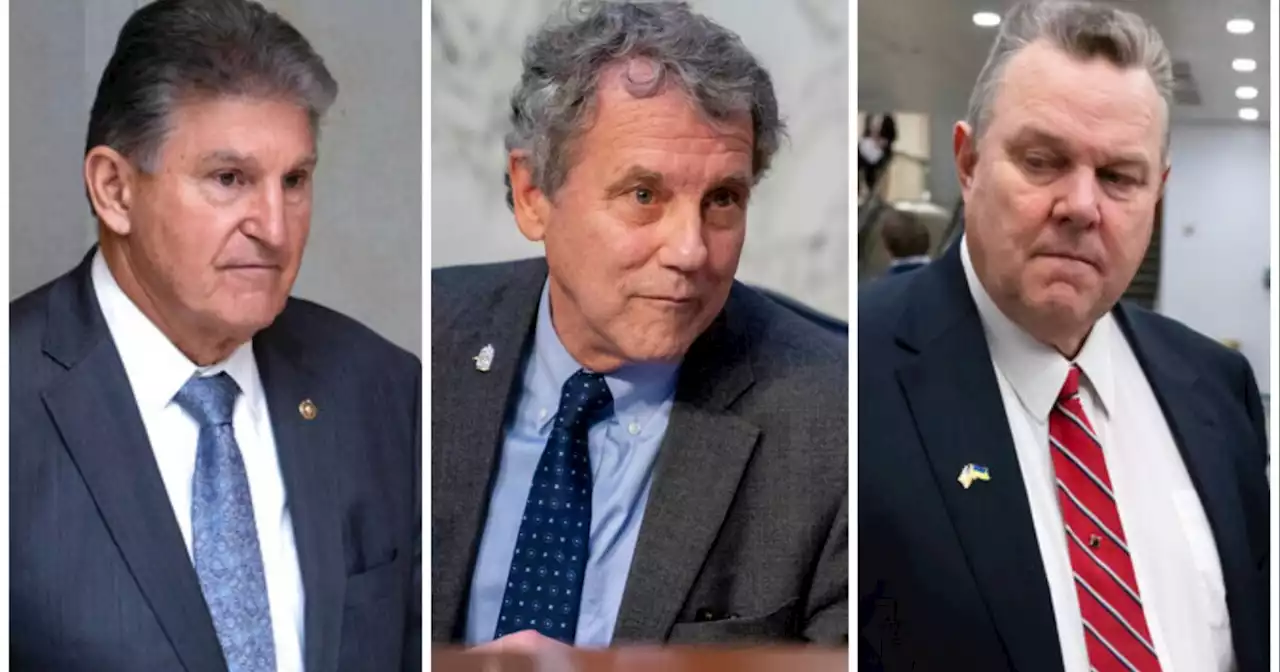 Vulnerable Senate Democrats are building early war chests ahead of tough 2024 races