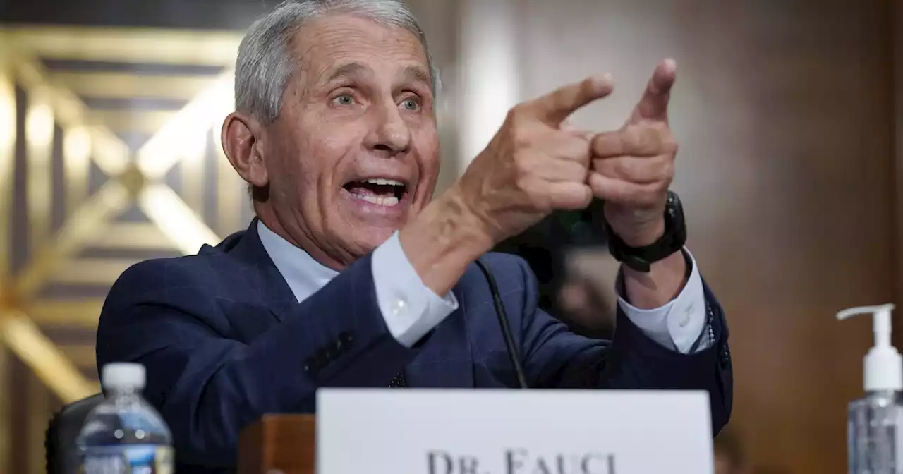 Will the Justice Department protect Fauci too?