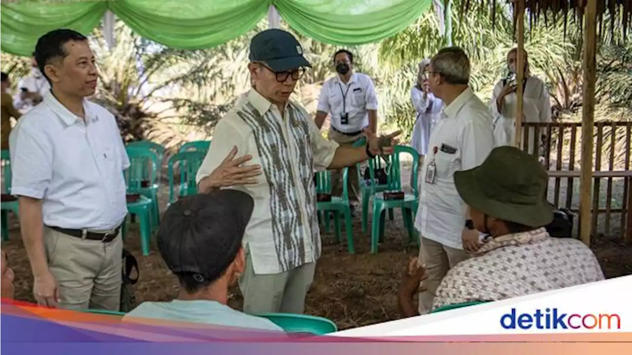 Dukungan Pembiayaan Petani Kelapa Sawit agar Sejahtera