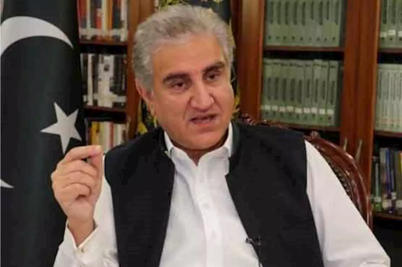 امپورٹڈ حکومت نے جاتے جاتے عوام کو مزید مہنگائی کے بوجھ تلے دبا دیا: شاہ محمود قریشی