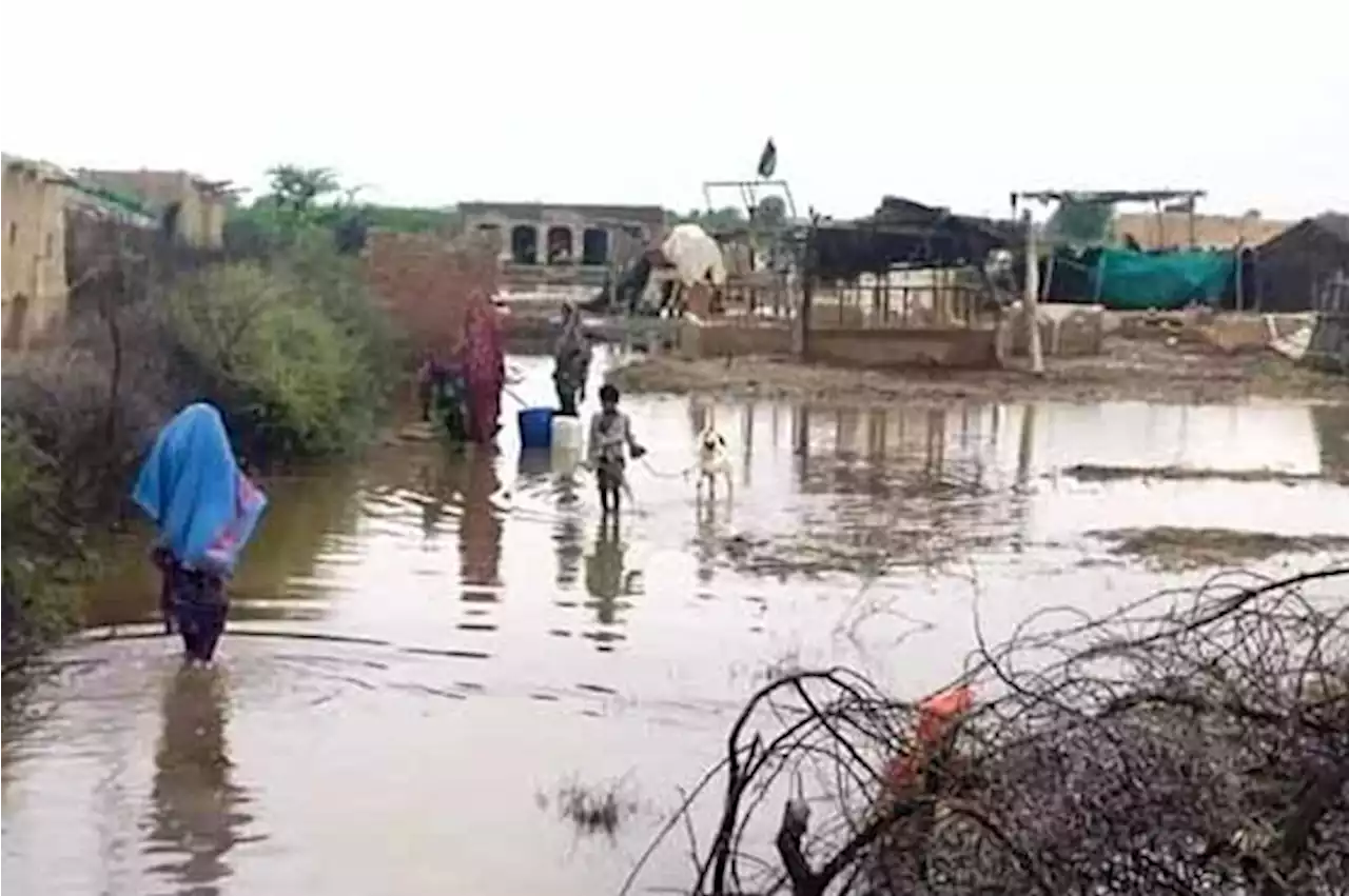 دریائے ستلج نے چشتیاں کے مضافات میں تباہی مچا دی، سیلاب شہر کی طرف بڑھنے لگا