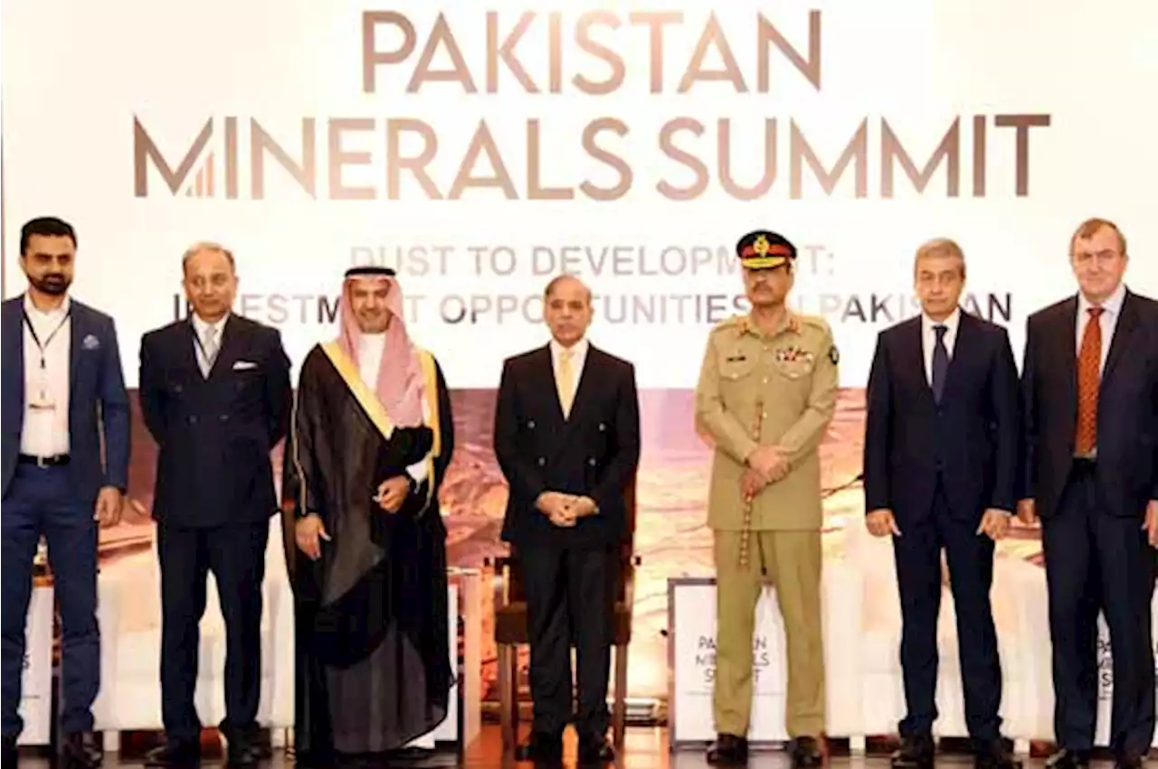 معدنیاتی استعداد عالمی معیشت میں مستقل جگہ بنانے کا سنہری موقع ہے، شہباز شریف